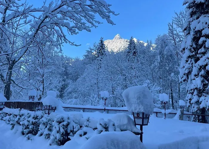 Guest house Paluda - Pizzeria